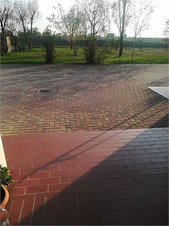 area cortiliva
